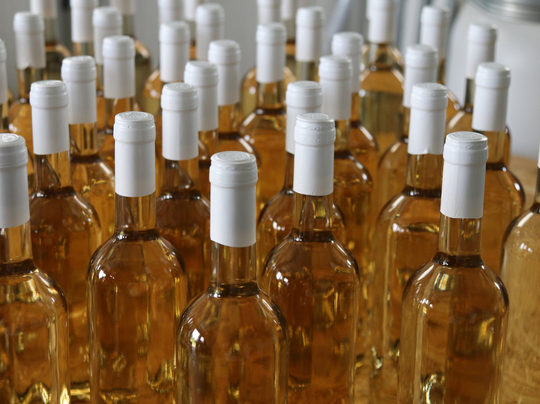 Chodorowa Winery景点图片