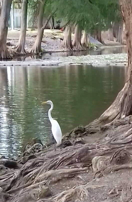Paseo Rio La Silla Unidad Unac Parque Pipo景点图片