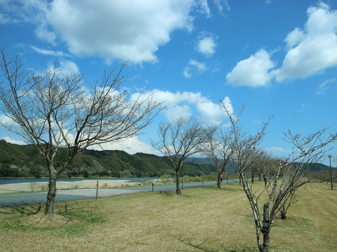 Shimanto Sakurazutsumi Park景点图片