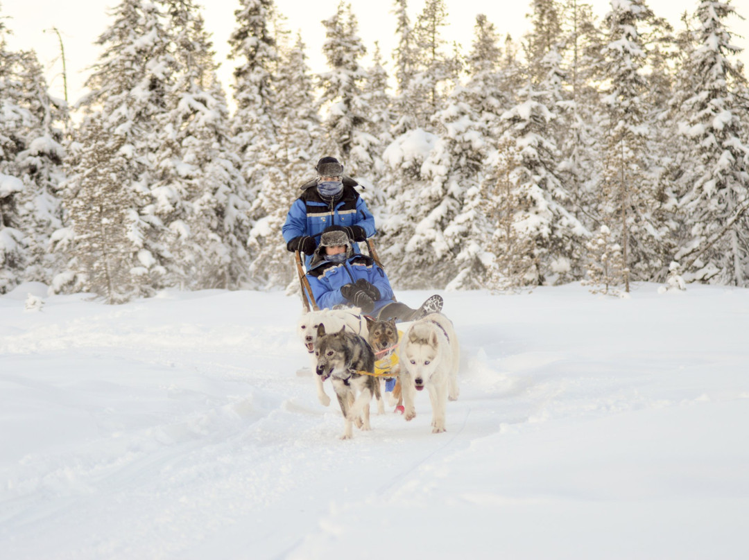 Campalta AB-基律纳必去景点