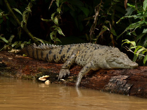 Cooltour Costa Rica-Naranjo必去景点