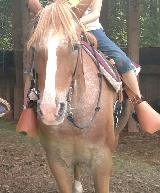 Saddle View Outfitters-Sunset必去景点