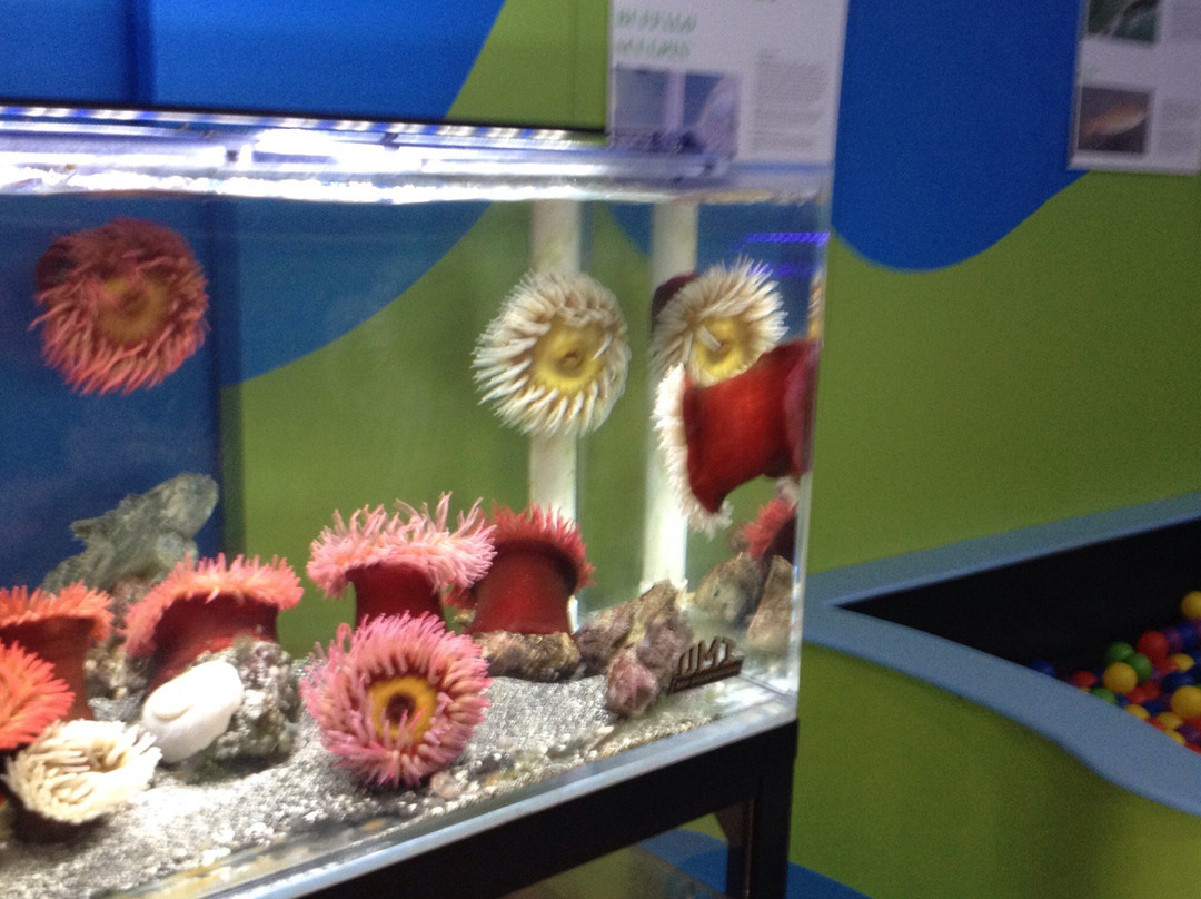Alberni Aquarium and Stewardship Centre景点图片