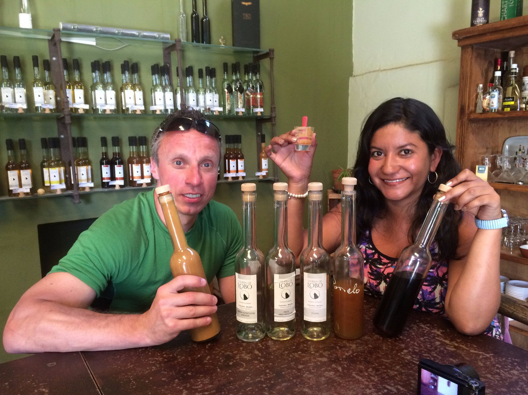 Tierra de Lobo-Coquimbito必去景点