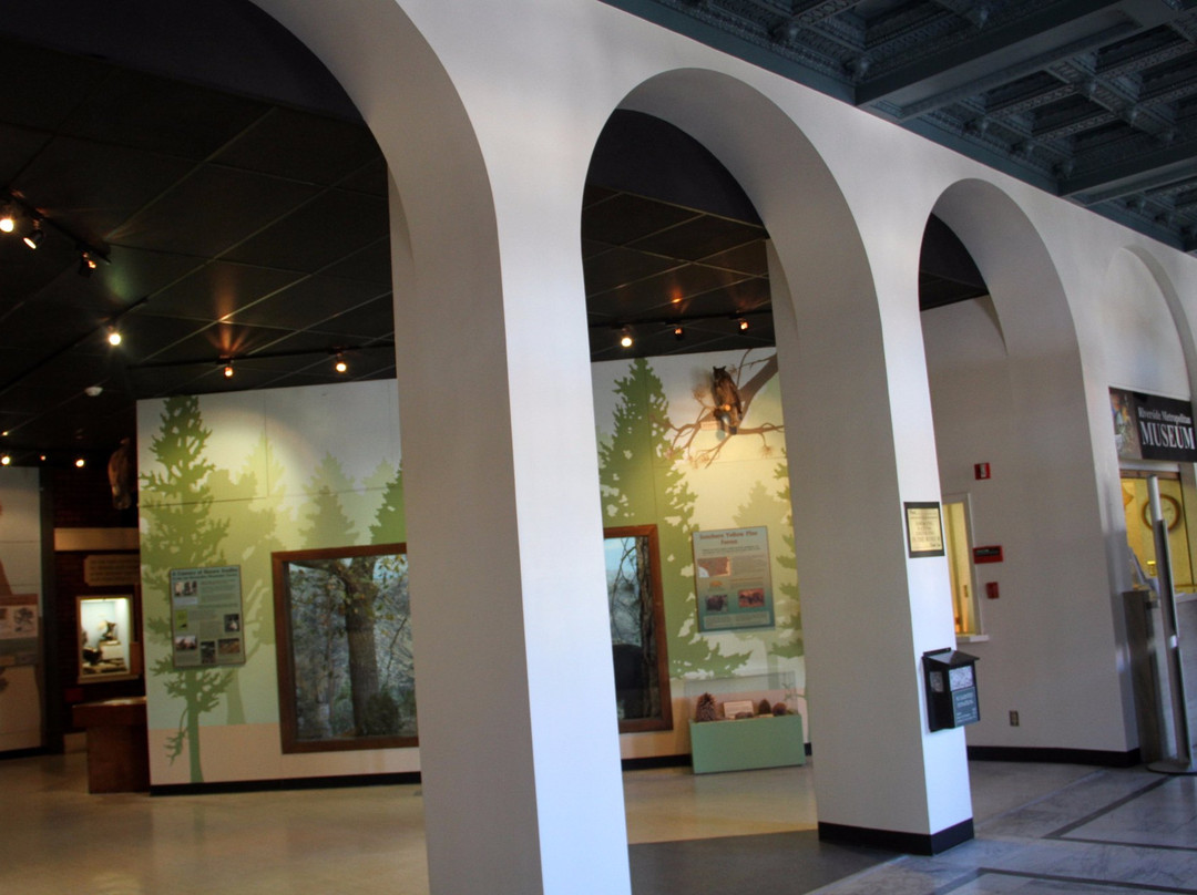 Riverside Metropolitan Museum-里弗赛德必去景点