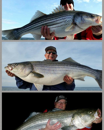 Chesapeake Bay Charter Services-Stevensville必去景点