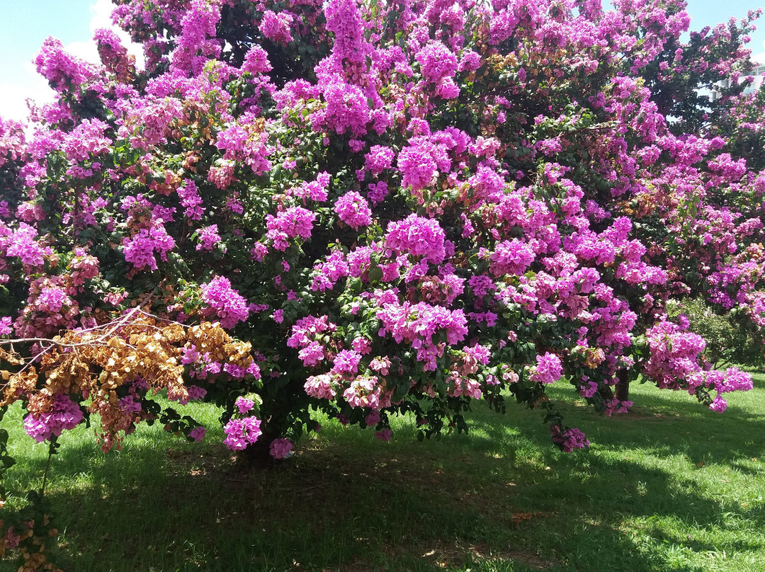 Praça Roque Torce Filho-因达亚图巴必去景点