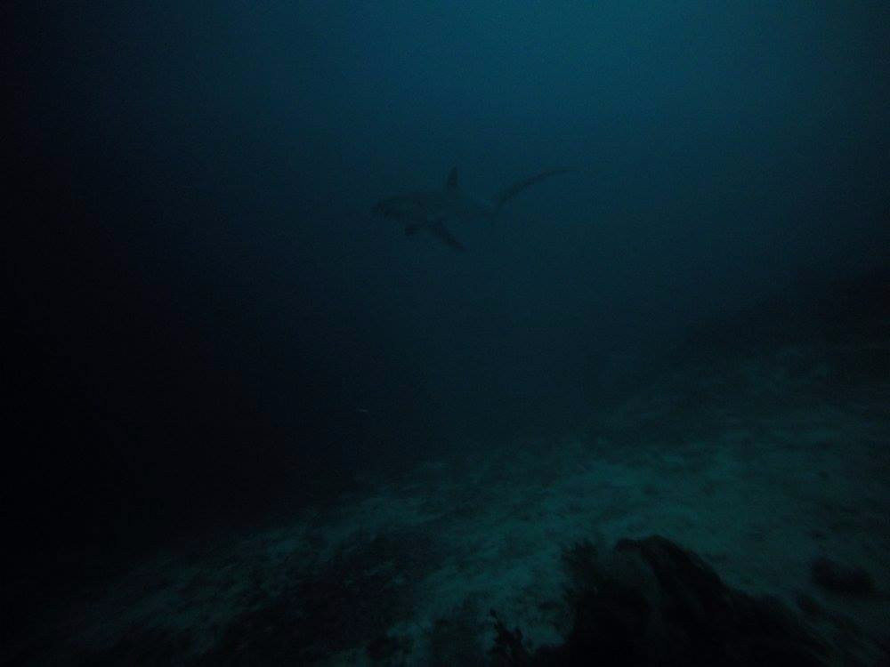 Diventure Philippines-哥多华必去景点