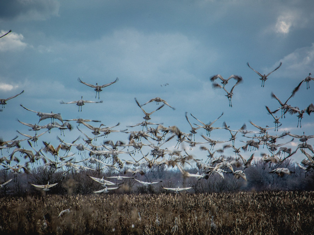 Goose Pond Fish and Wildlife Area-Linton必去景点