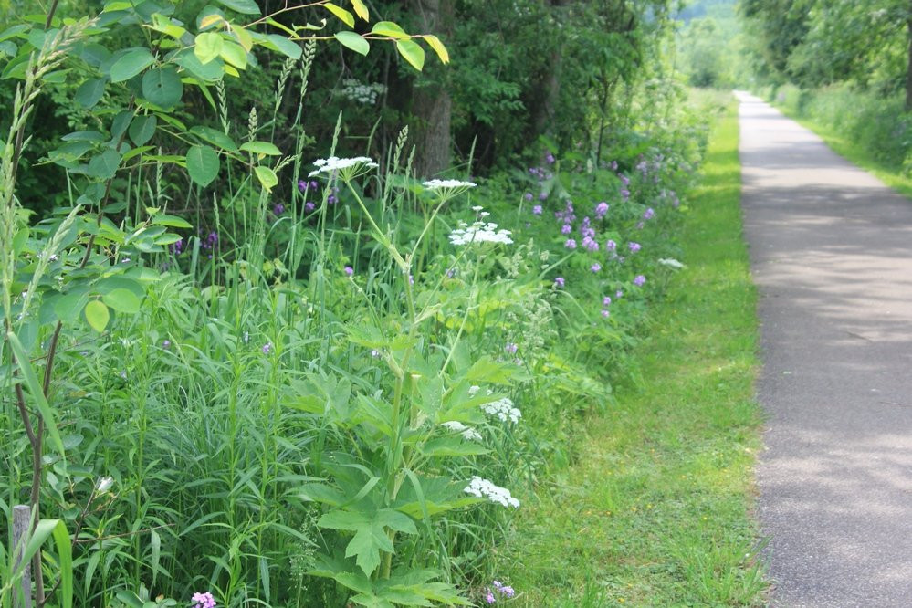 Ernst Trail-Meadville必去景点