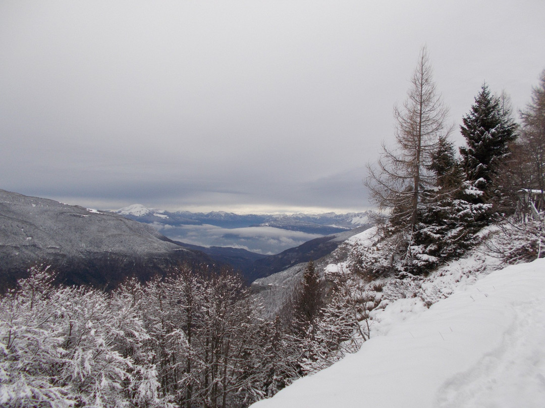 Monte Maggio景点图片