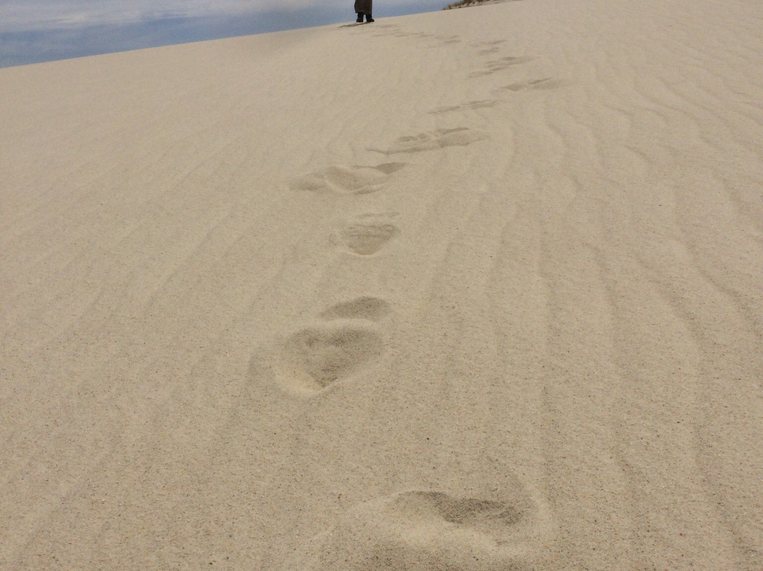 Yeagarup Dunes-彭伯顿必去景点