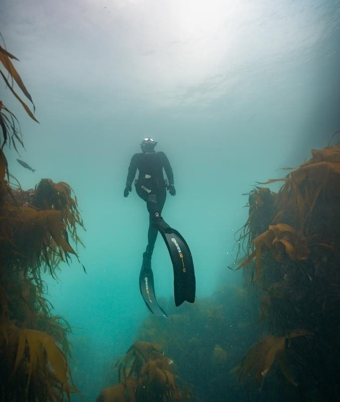 Aquacity Freediving-赫尔斯顿必去景点