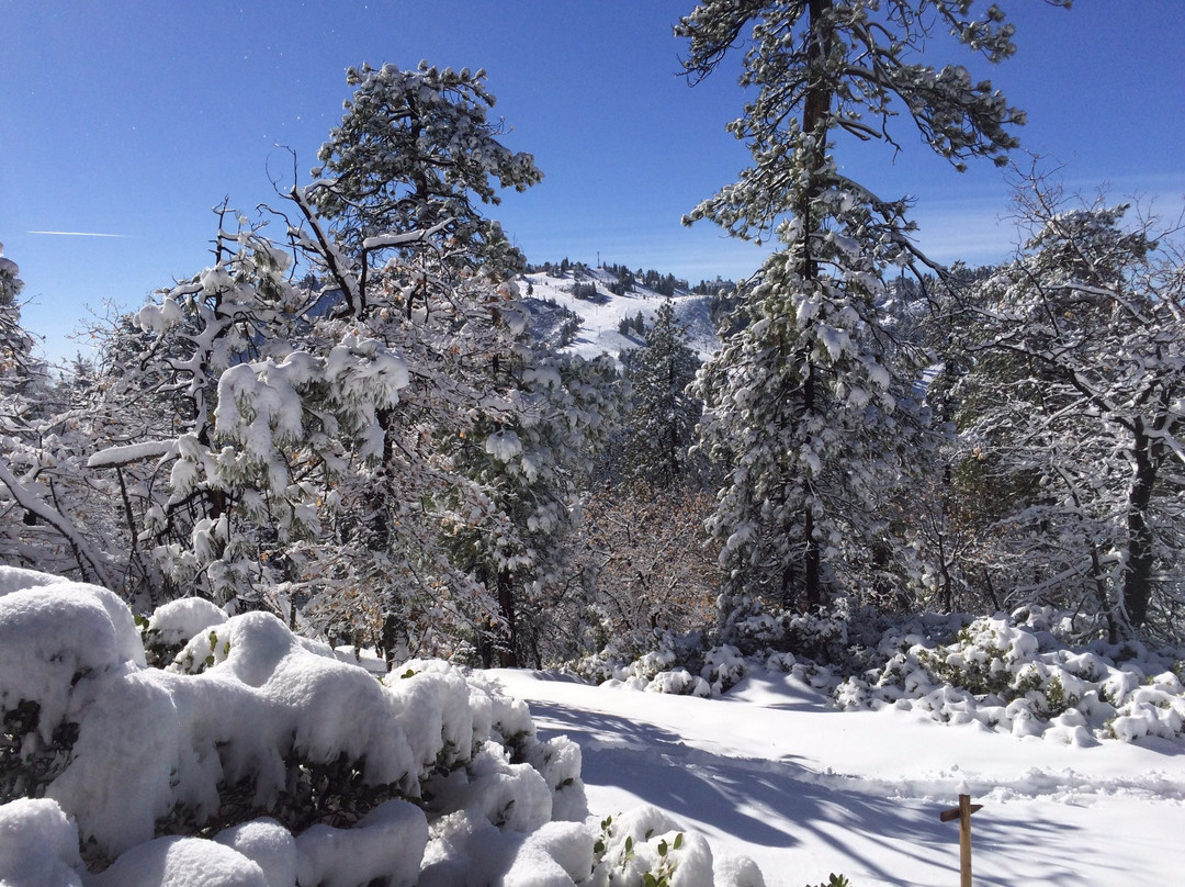Rim Nordic Cross Country Ski Center-Running Springs必去景点