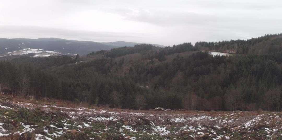 L'Ecrin de Brierat-Saint-Priest-la-Prugne必去景点