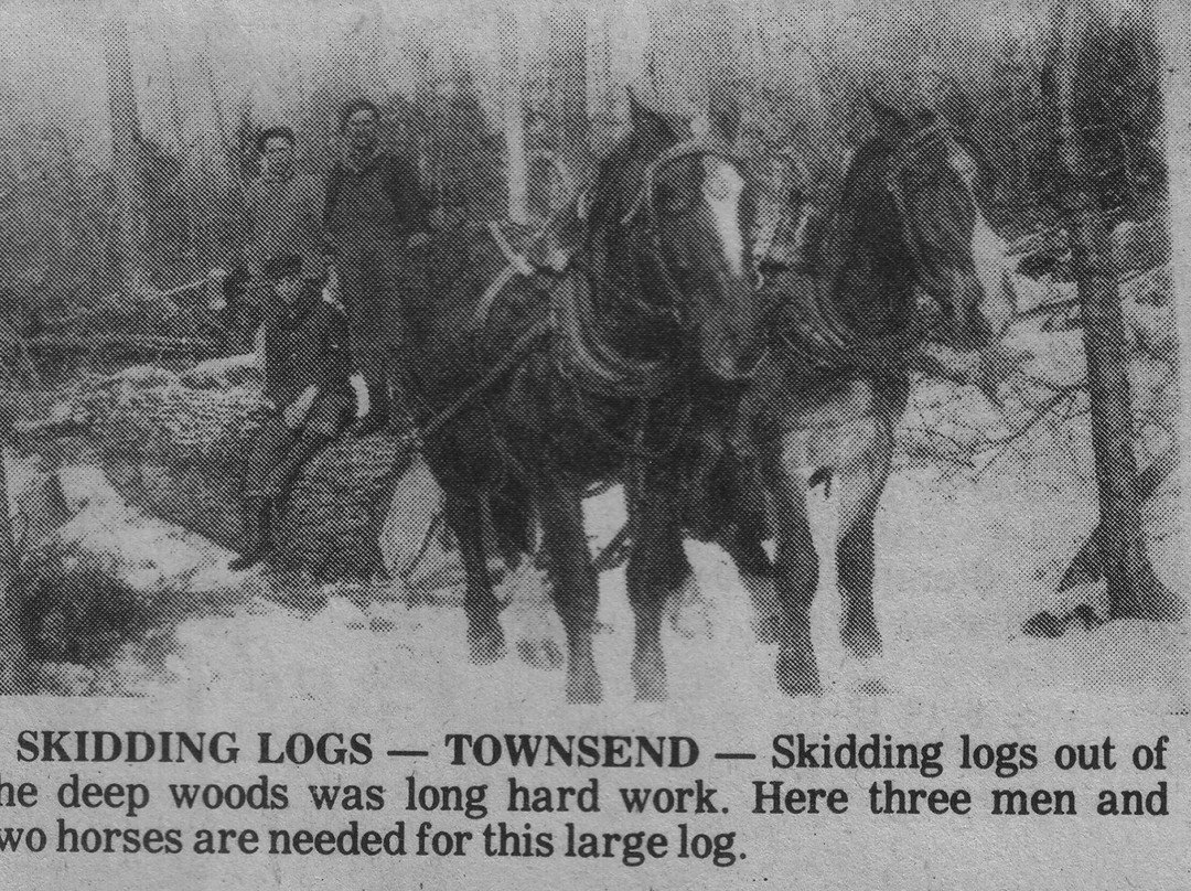 Markuby's Bar & Grill-Townsend必去景点