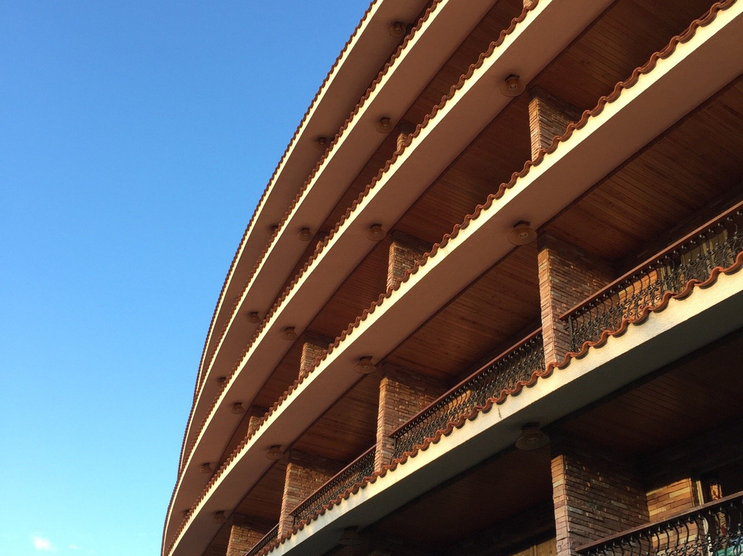 梅州雁南飞茶田度假村-梅县必去景点