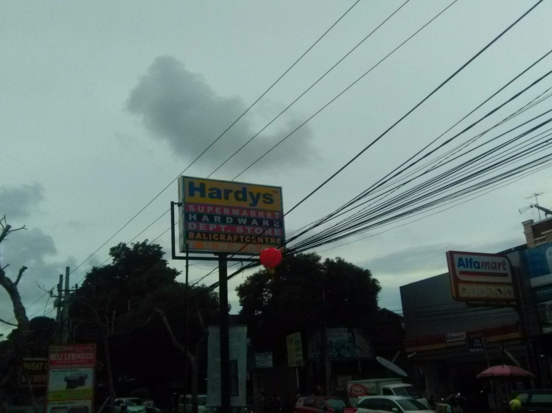 Hardy's Shopping Center景点图片
