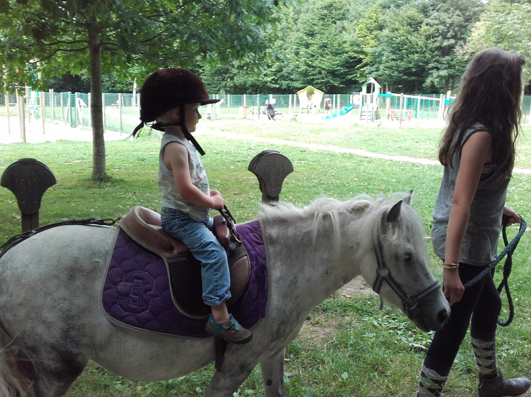 Poney Club de Combourg景点图片