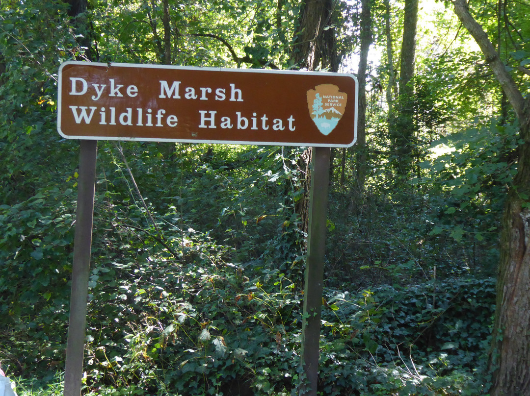 Dyke Marsh Wildlife Preserve景点图片