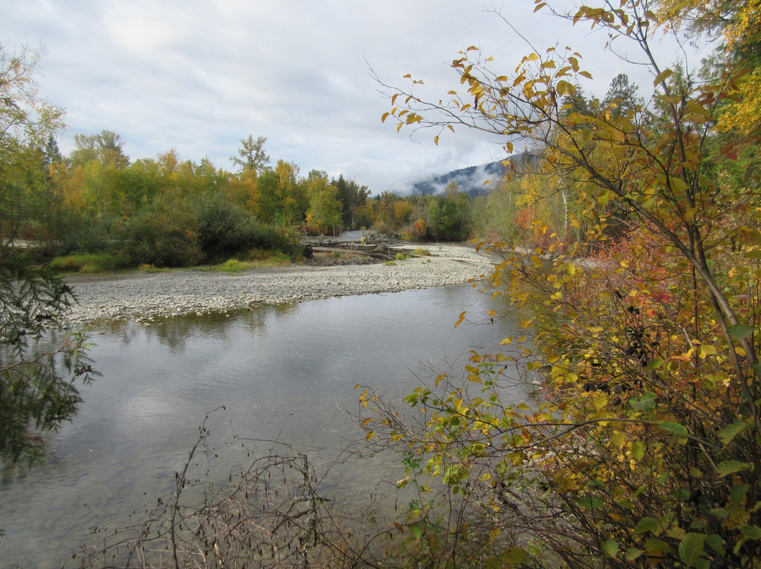 Adams River Salmon Run-Chase必去景点