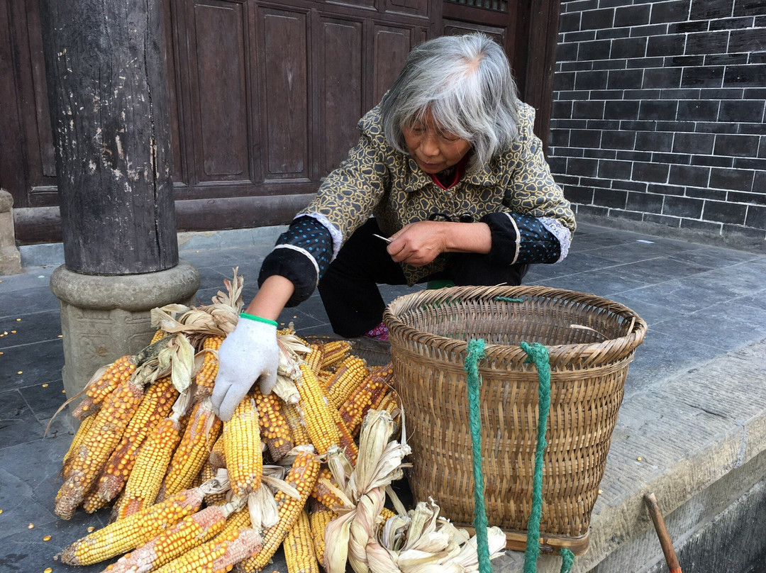 昭化古城景点图片