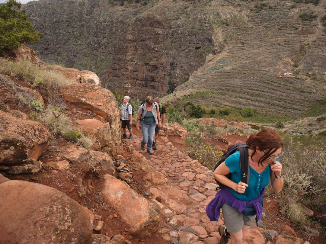 OkoTours-Valle Gran Rey必去景点