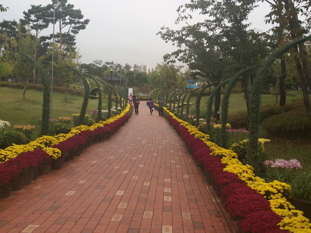 Yurim Park-大田必去景点