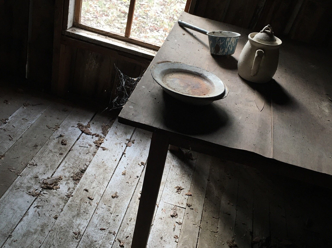 Davies Manor Historic Site景点图片
