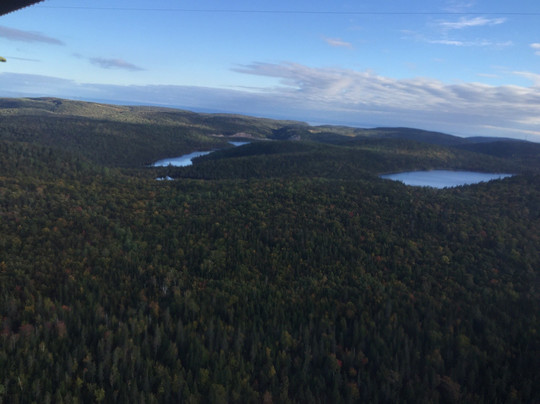 Aviation du Fjord-泰道沙克必去景点