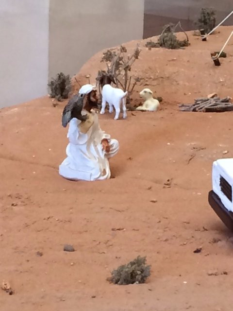 Falcon Museum-迪拜必去景点