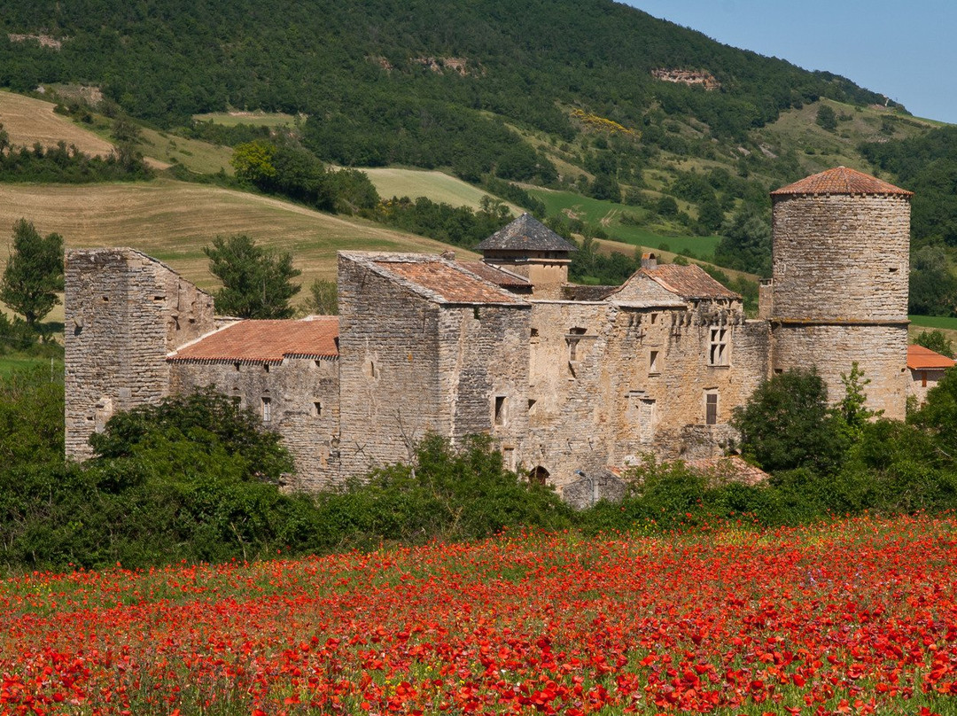 Saint-Georges-de-Luzencon旅游攻略图片