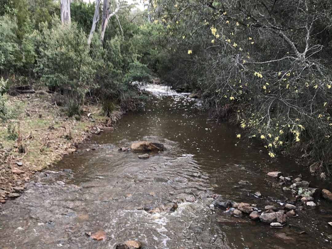 Wind Song Bed & Breakfast主图