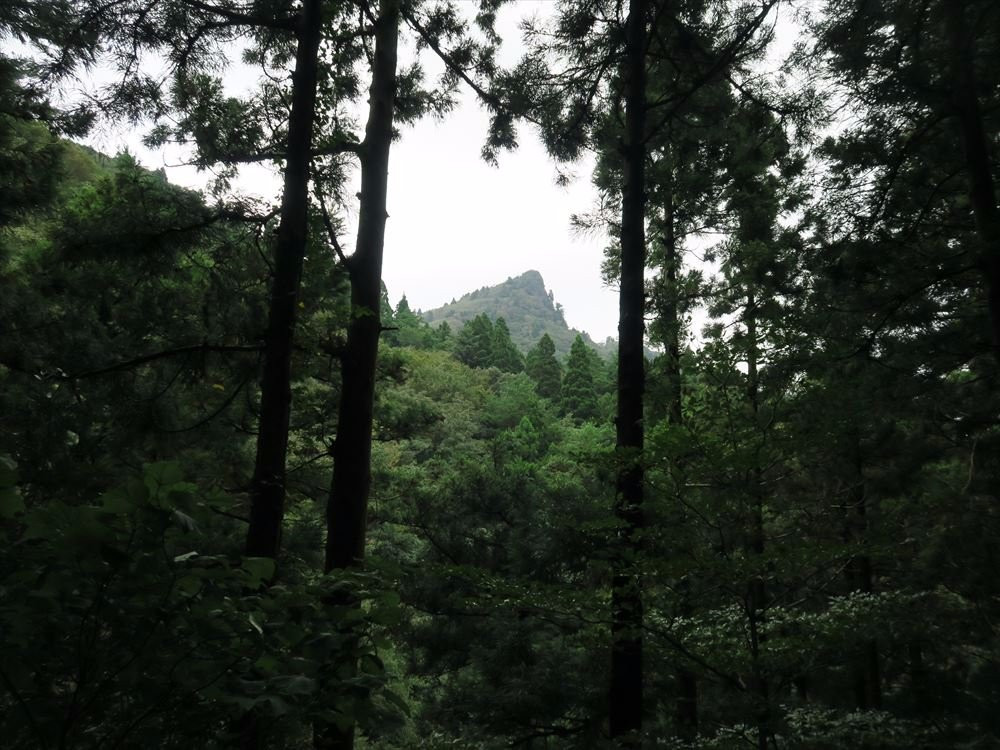 Lizard Rock-隐岐之岛町必去景点