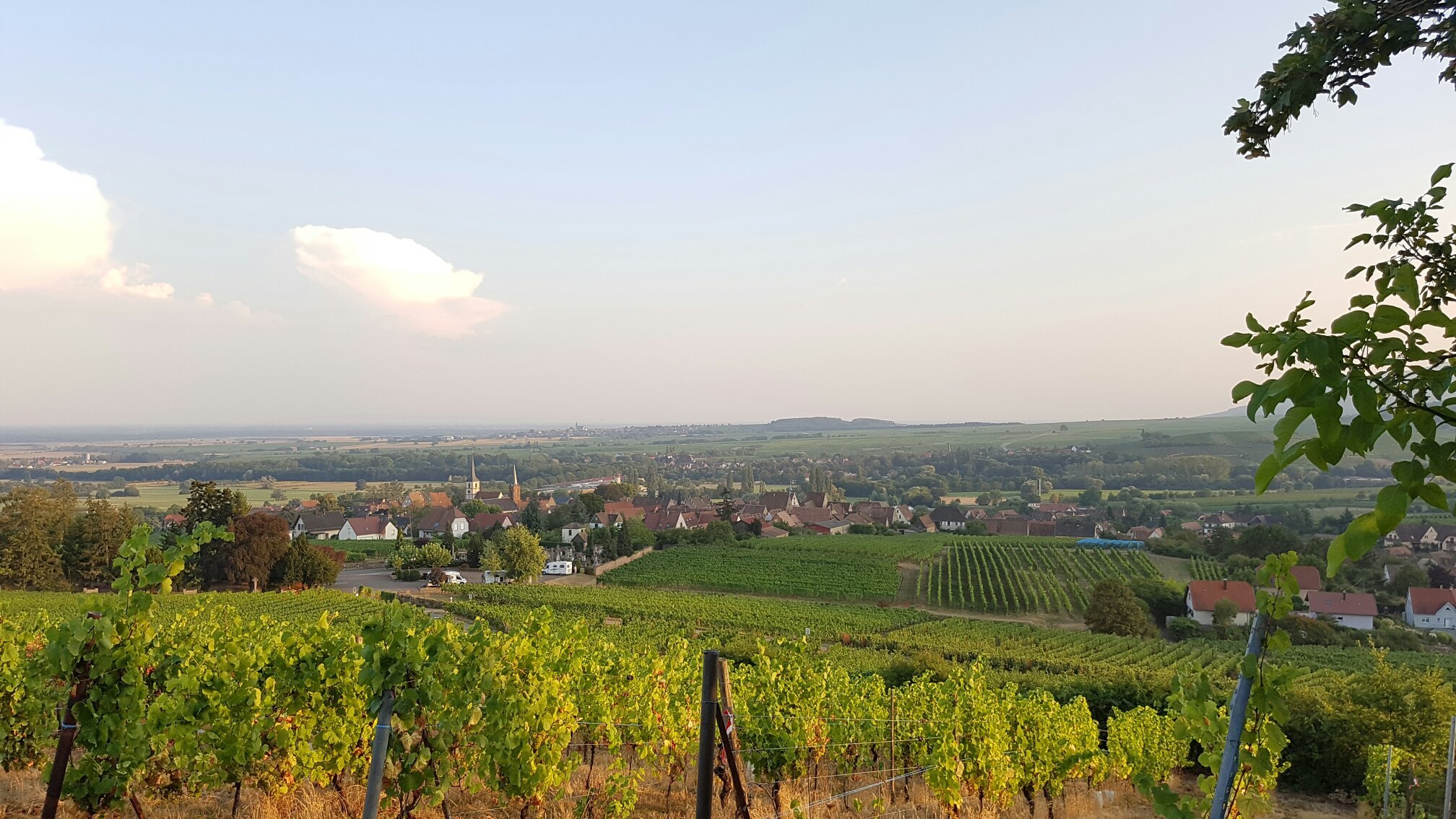 Le Grenier Des Aromes Au Domaine Wittmann-官方