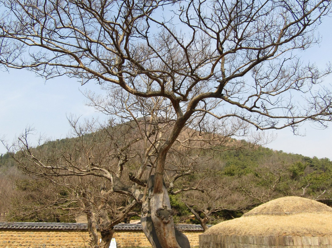Shin Sunggyeom Shrine-大邱必去景点