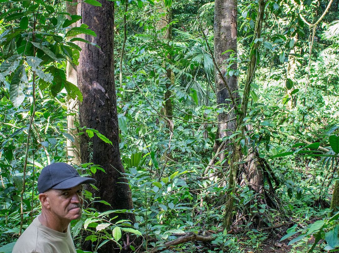 Agroforestal La Tarde景点图片