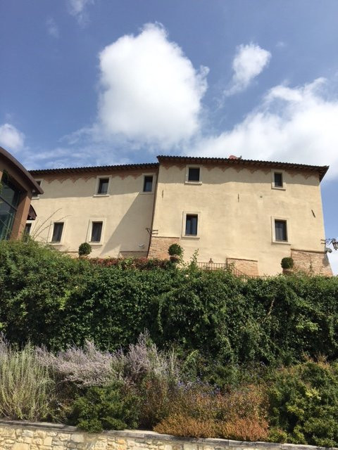 Residenza degli Uffredi主图