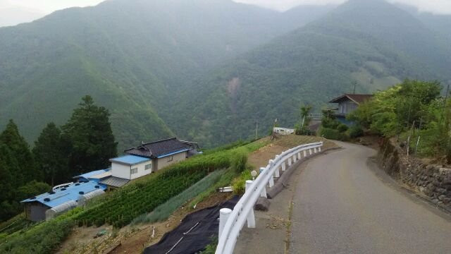 Minshuku Miyashita