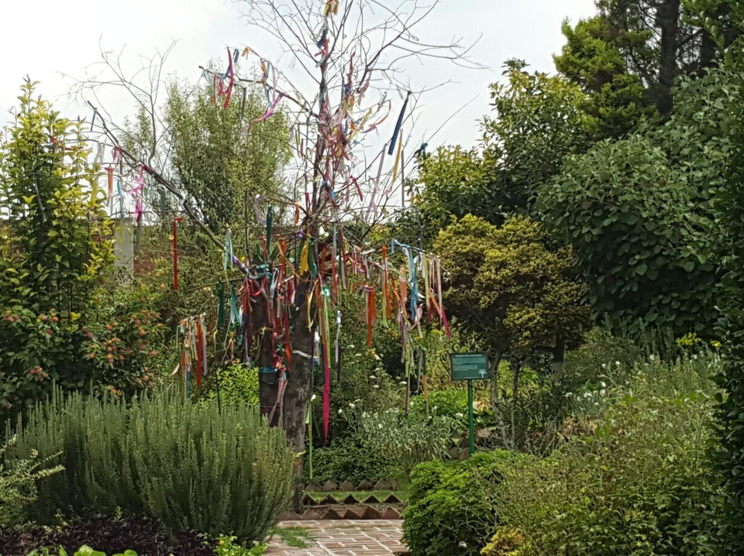 Francisco Pelaez Ethnobotanical Garden景点图片