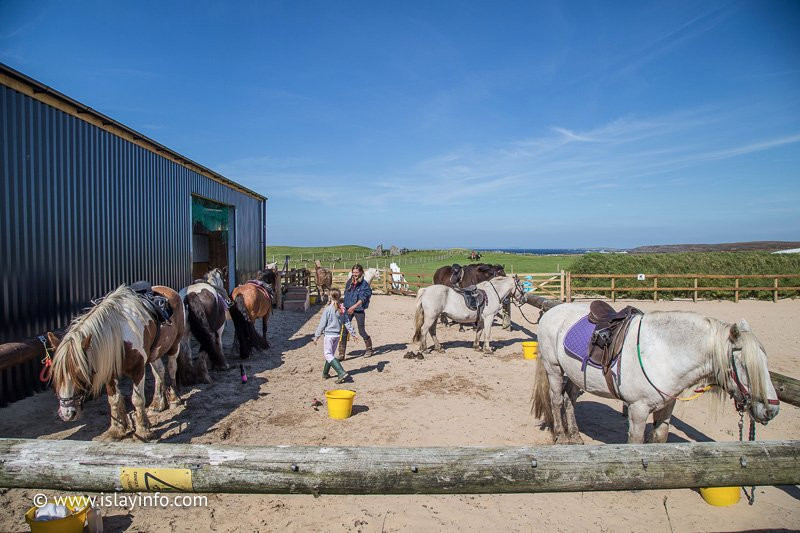 Islay Pony Trekking-艾拉岛必去景点
