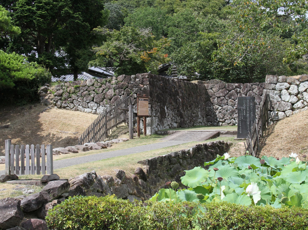 Aki Castle Ruins景点图片