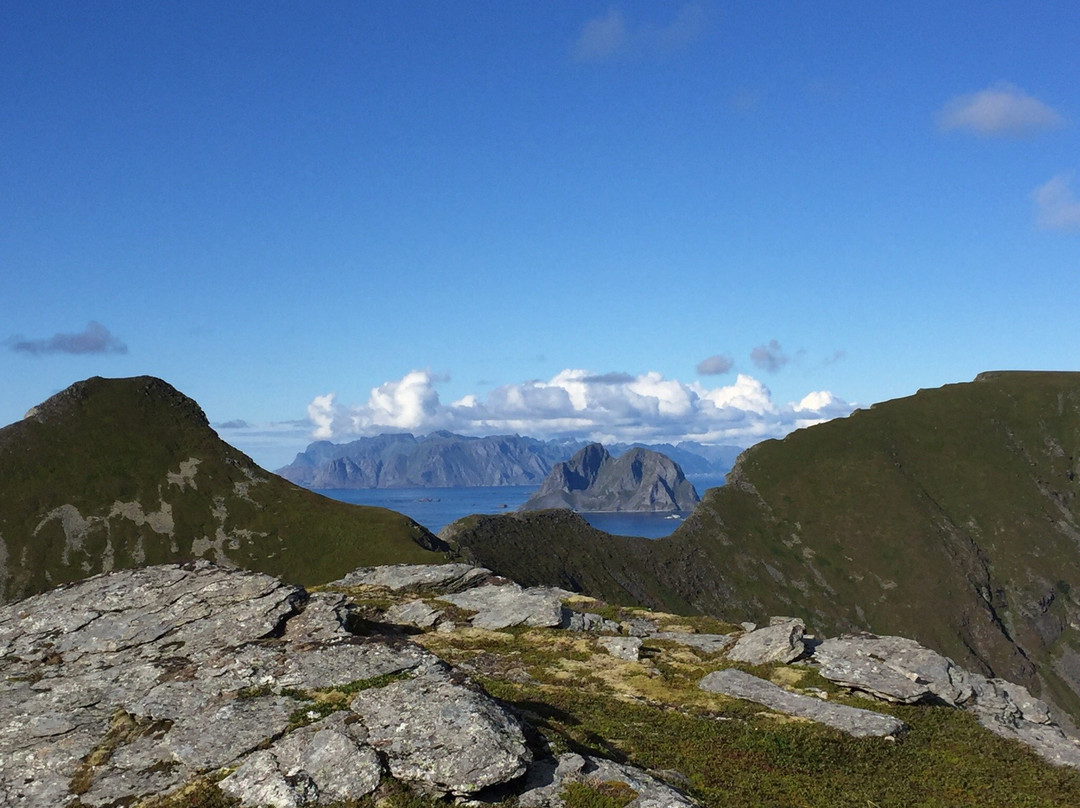 Nordlandshagen på Værøy景点图片