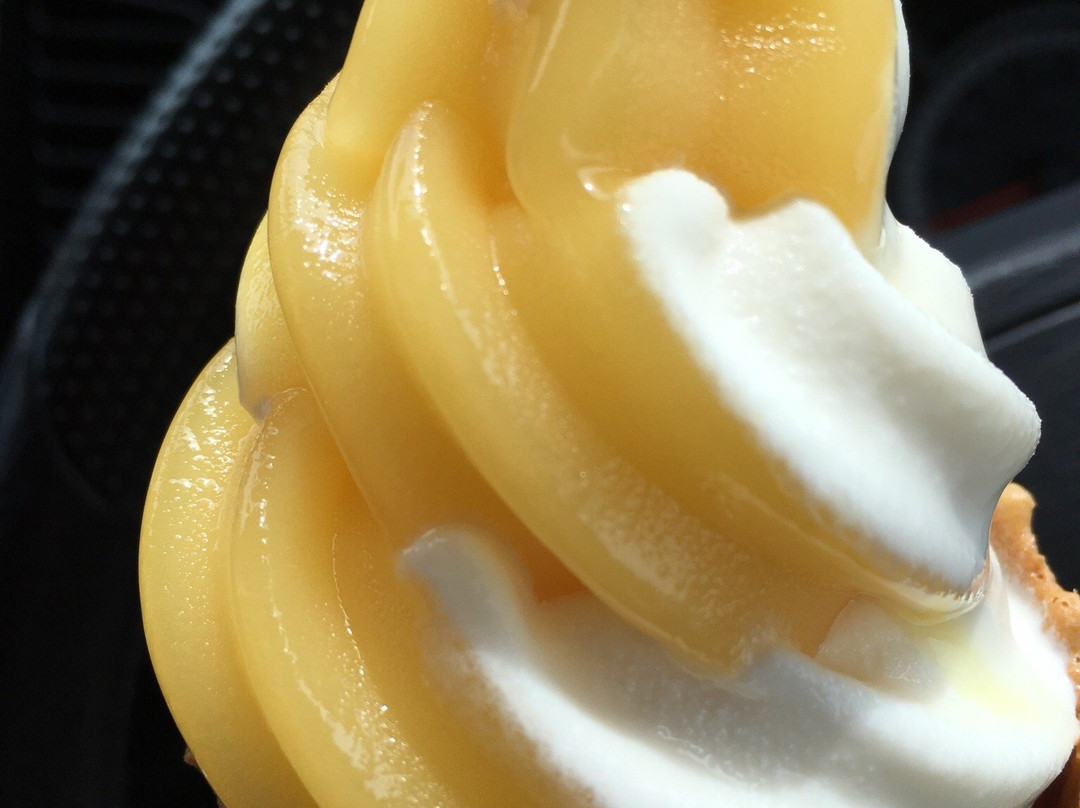 Okuwa Michi-no-Eki-大桑村必去景点