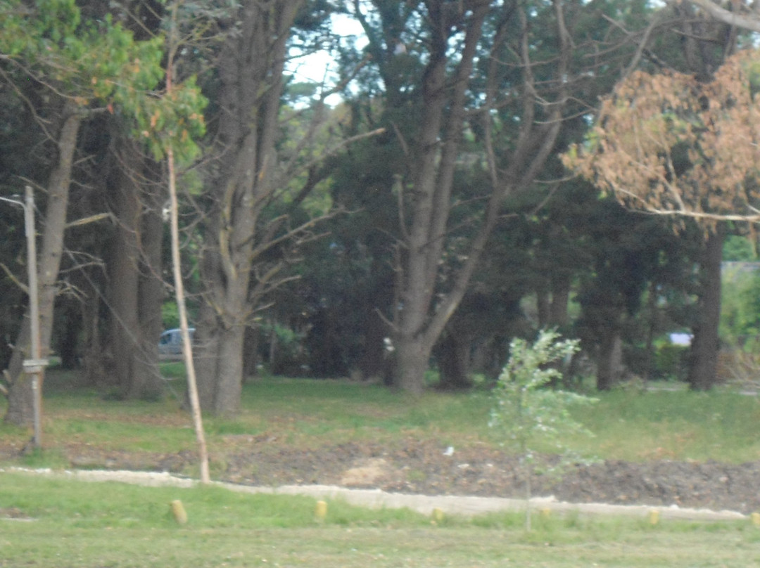 Bosque Peralta Ramos-马德普拉塔必去景点