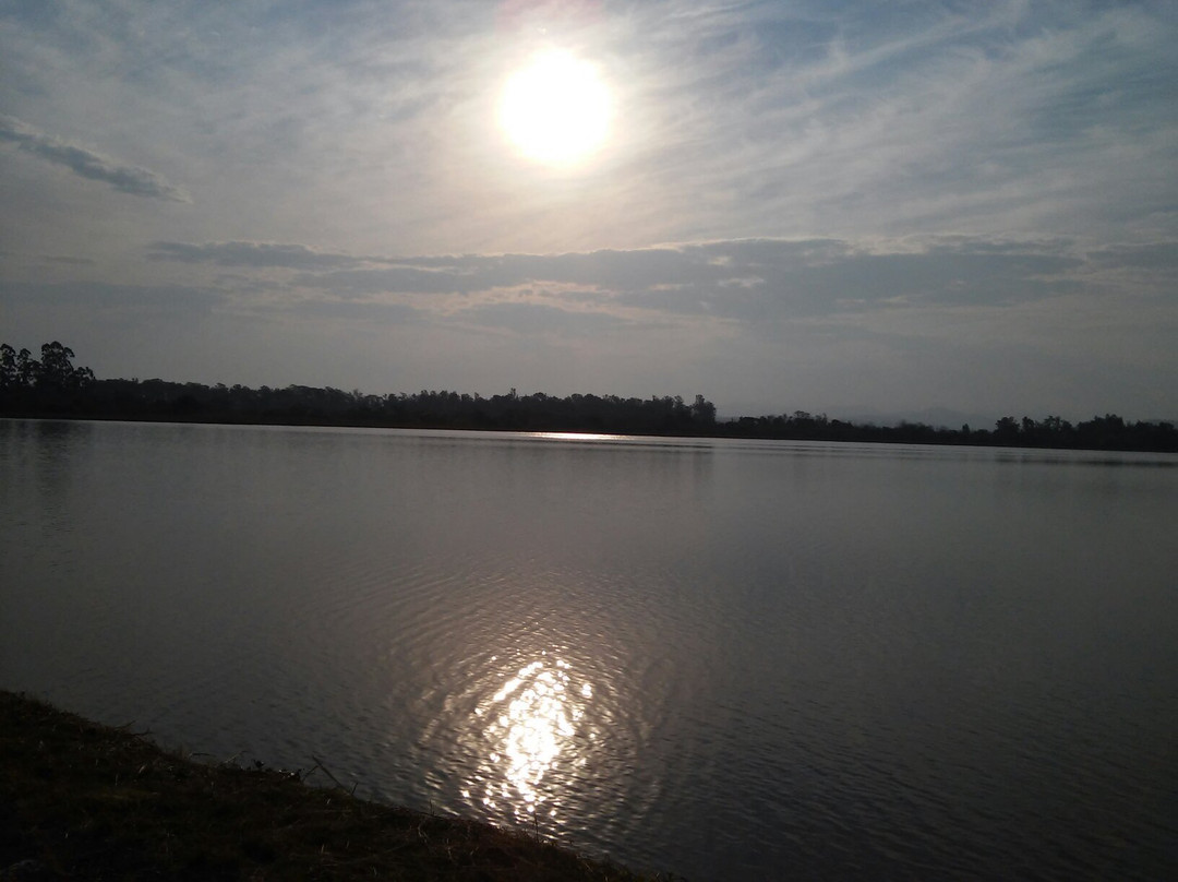 Lago Dourado景点图片