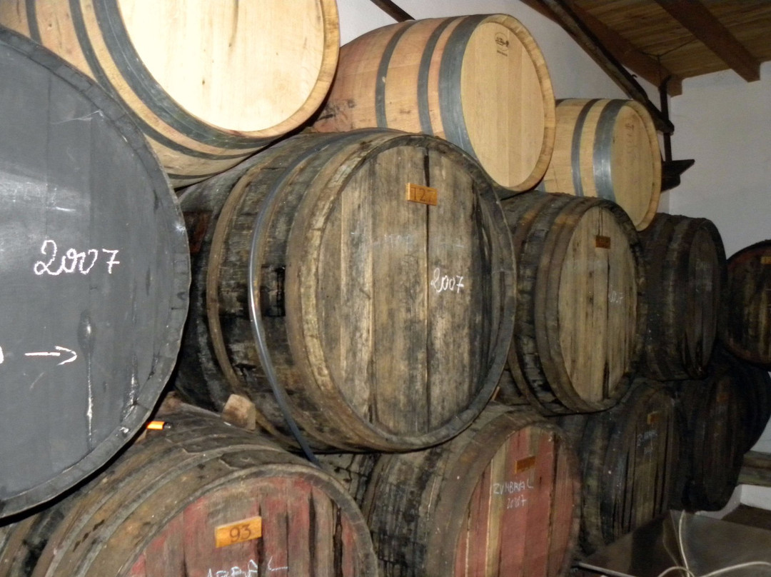 Bodegas Dimobe景点图片