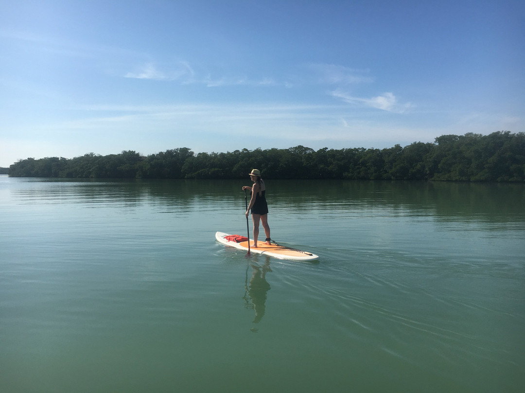 Wicked Paddle-Manasota Key必去景点