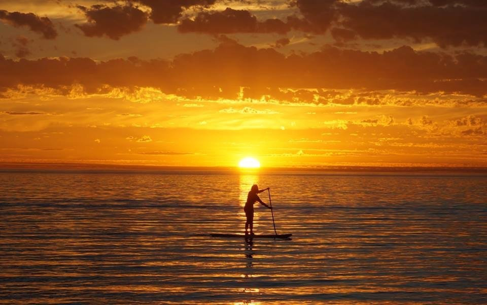 Stand Up Paddle SA-阿德莱德必去景点