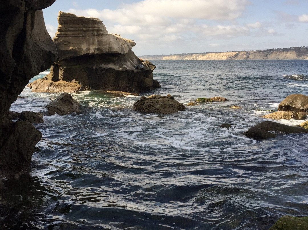La Jolla Underwater Park-拉荷亚必去景点